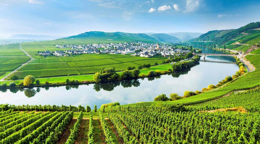 Moselle viiniviljelyksiä