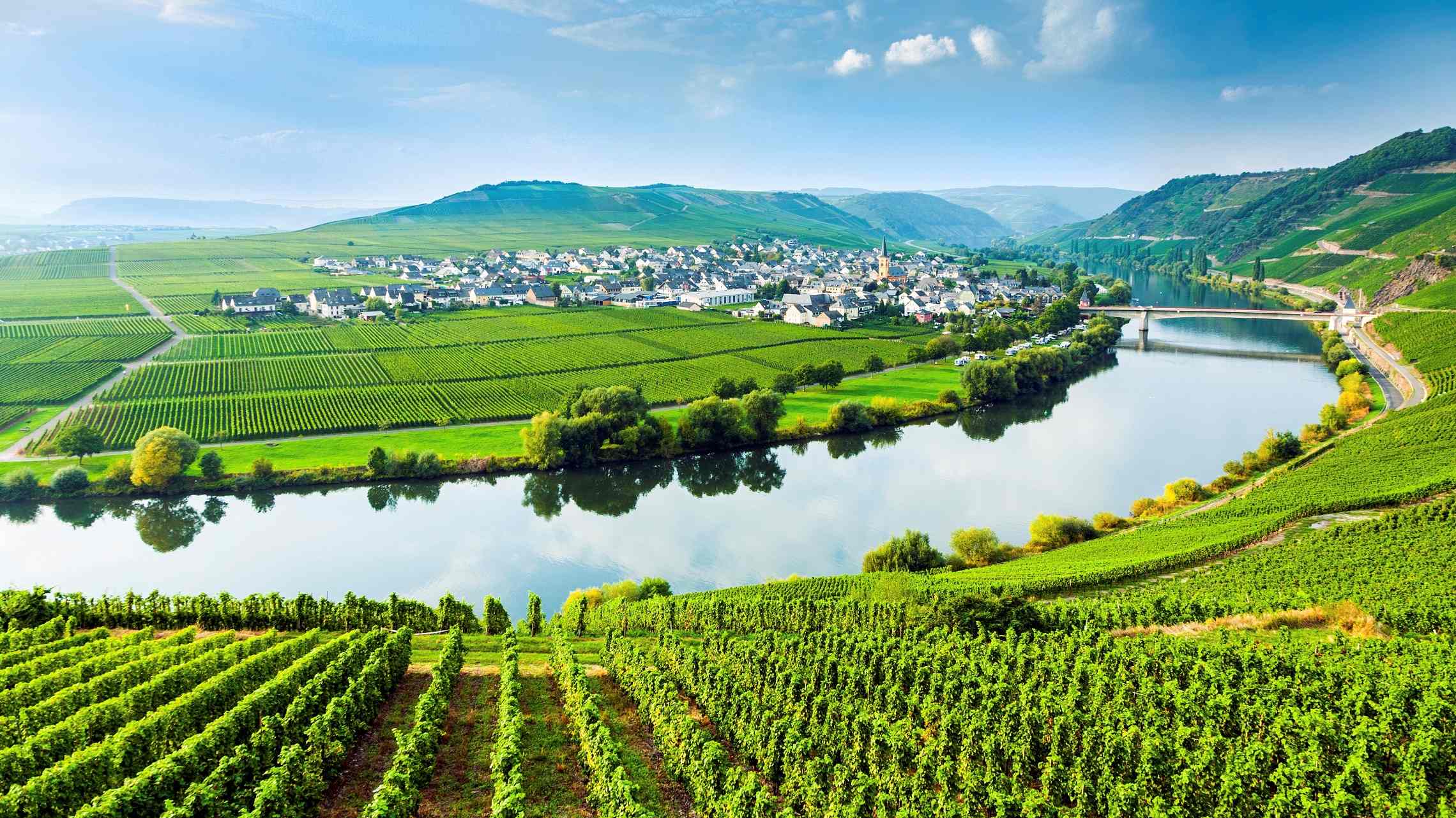 Moselle-viiniviljelyksiä-1920x1080.jpg