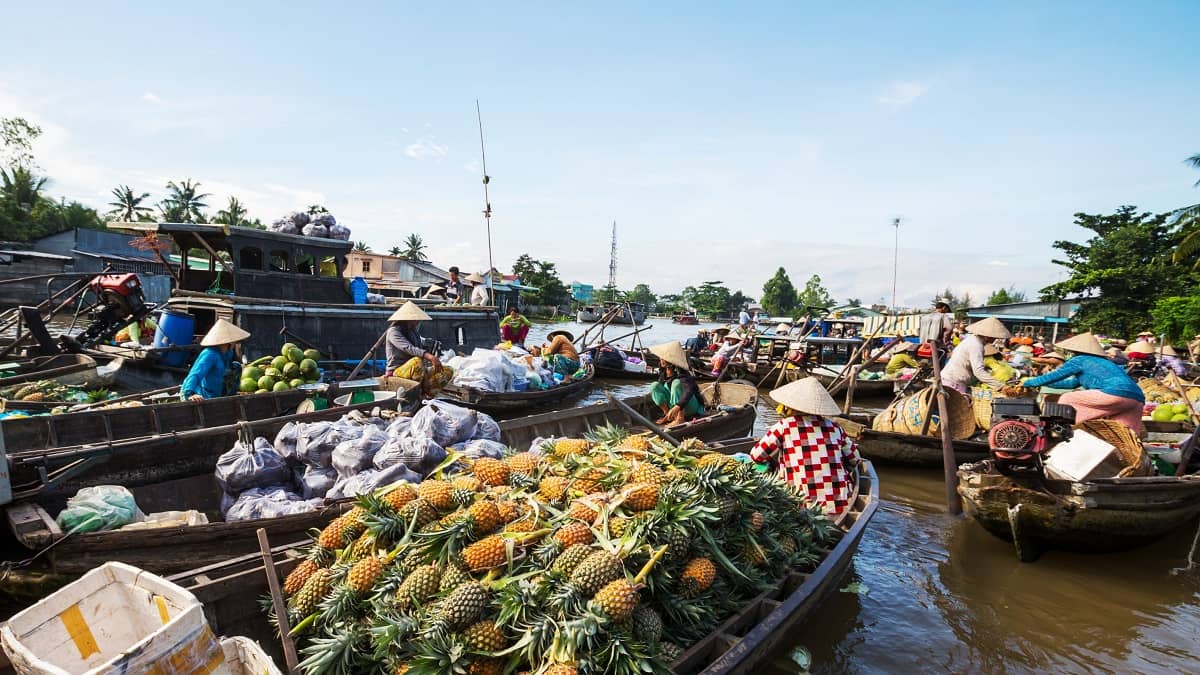 Pitkillä risteilyillämme sukellat eri maiden kulttuureihin. Kuvassa Mekongin sataman kaltaista aluetta, jossa veneitä. Veneet ovat täynnä hedelmiä ja muita ruoka-aineita.