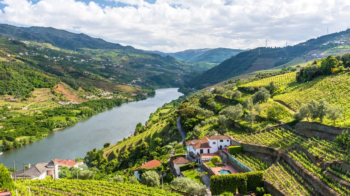 Viinimatkoilla Douro-joen maisemissa voi maistella herkullista portviiniä. Vehreää viininviljelysmaisemaa ja Douro-joki.