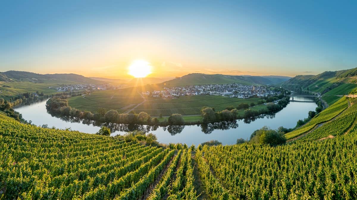 Saksan viinialueilta löytyy muutakin kuin Rieslingiä – lue matkanjohtajan vinkit Saksan viiniseuduille