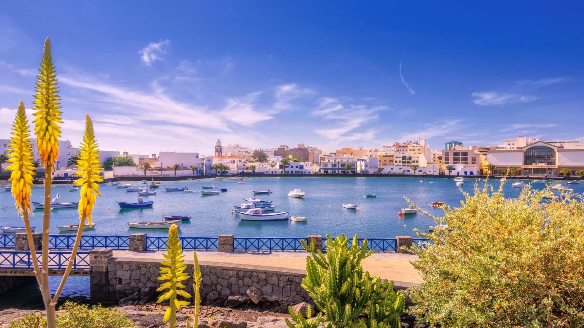 Arrecive Lanzarote
