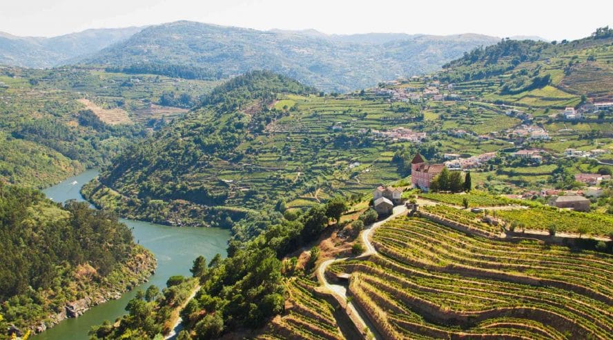 Viiniviljelyksiä Portugalissa Dourojoki