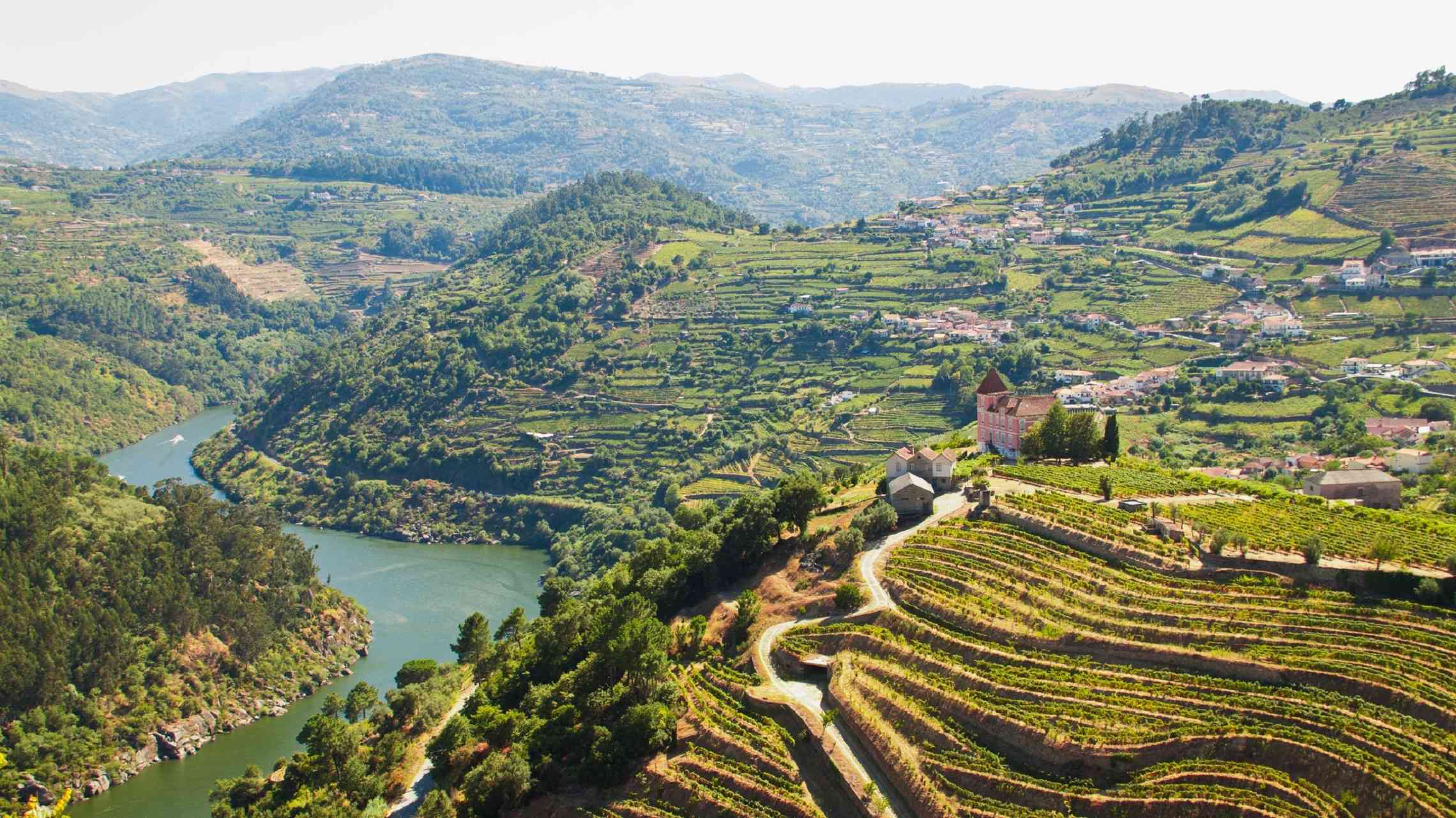 Viiniviljelyksiä Portugalissa Dourojoki