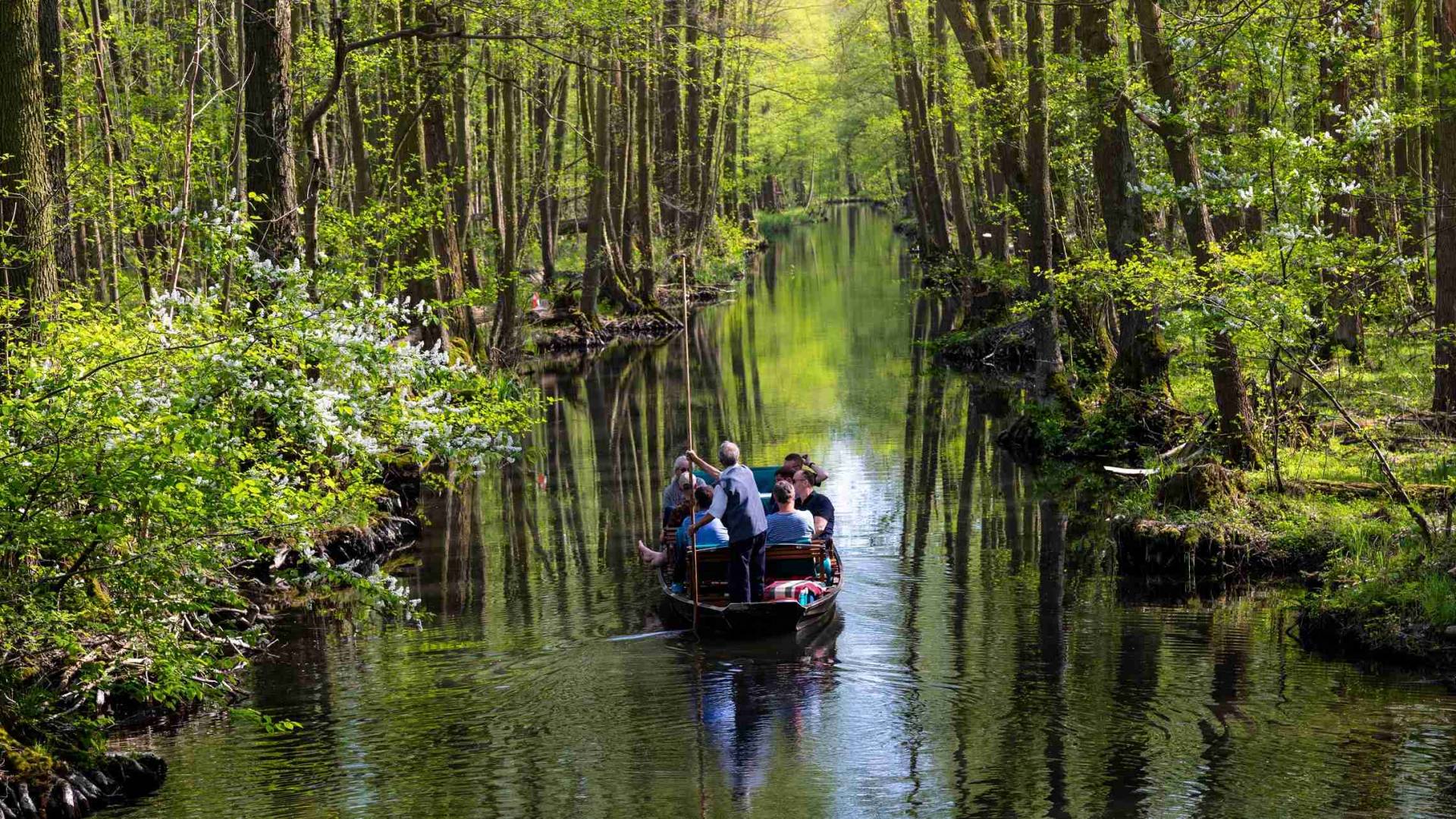 Spreewald Saksa