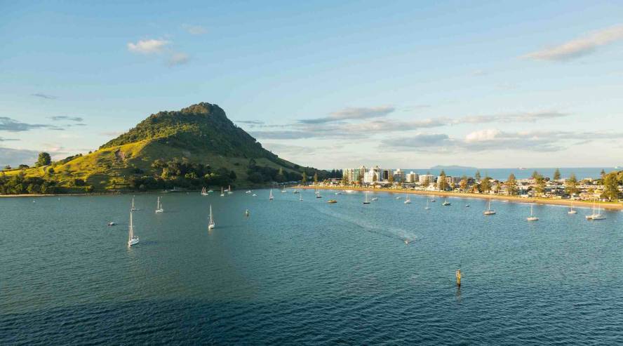 Tauranga Uusi Seelanti