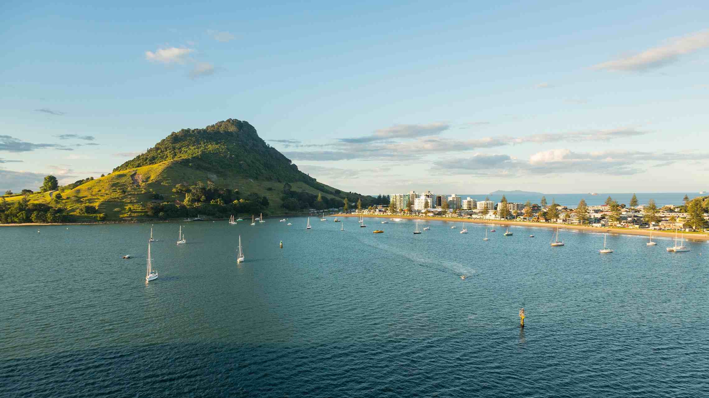 Tauranga Uusi Seelanti