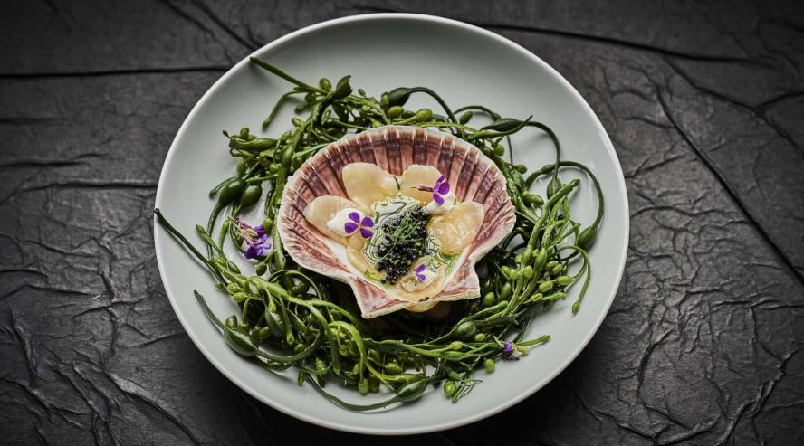 Havila Capella Castor ruoka annos 4 c Havila Voyages 2021