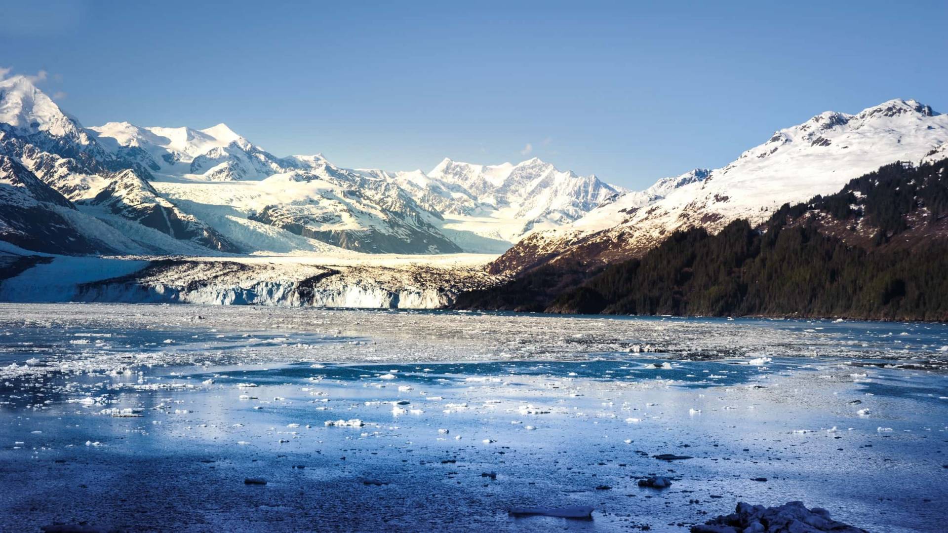 College Fjord Alaska
