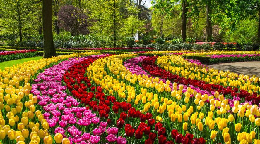 Keukenhof puisto hollanti