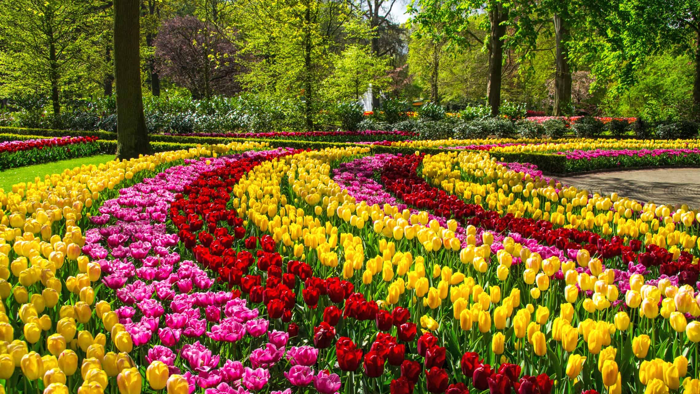 Keukenhof puisto hollanti