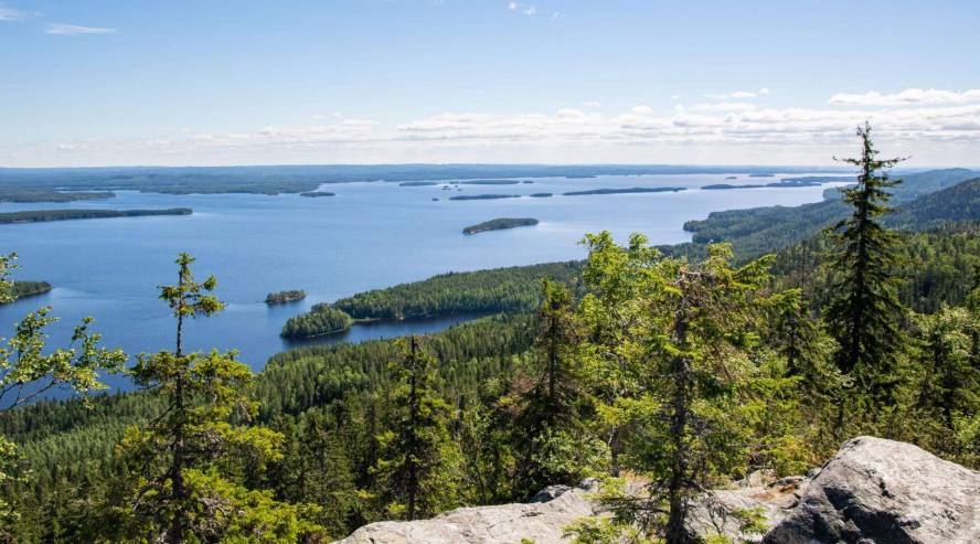 Kolin kansallispuisto kesalla