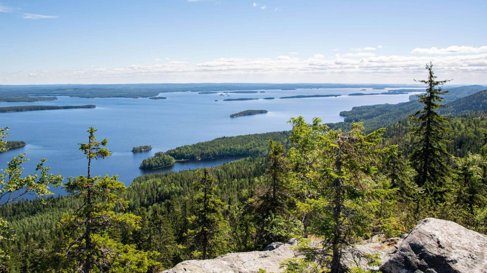 Kolin kansallispuisto kesalla
