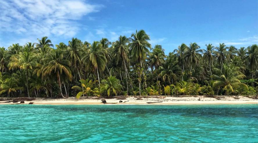 Ranta Bocas del Toro Panama