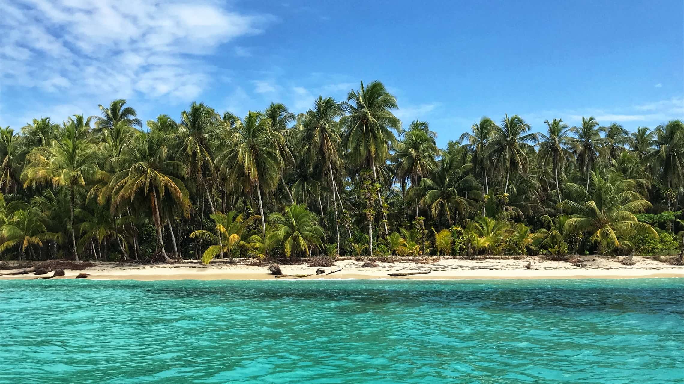Ranta Bocas del Toro Panama