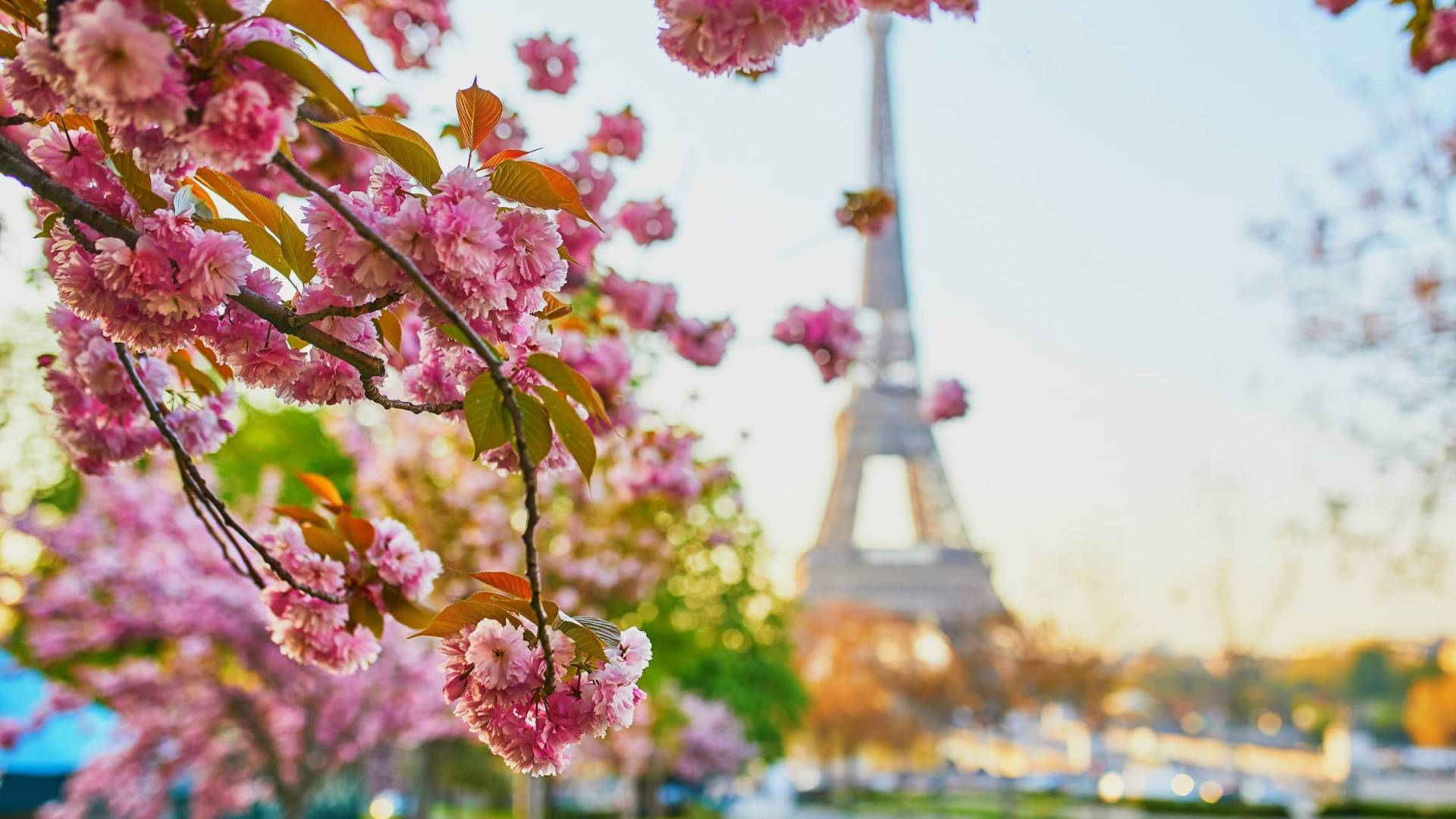 Seinejoen risteily 30.9.2023