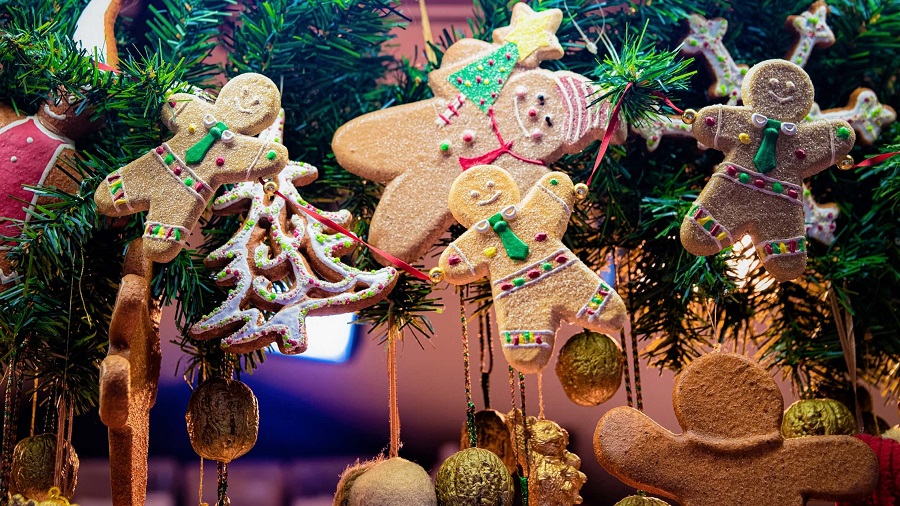 Senioreiden Hansaristeily Saksaan – viehättävät Lüneburg & Celle joulutorien aikaan 3.12.2024