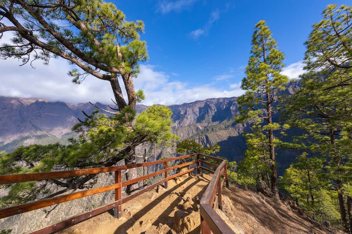 La Palman saarella sijaitseva Caldera de Taburiente hurmaa mäntymetsillaan La Palma, Kanariansaaret. Kuvassa vuoristoa ja mäntymetsää.