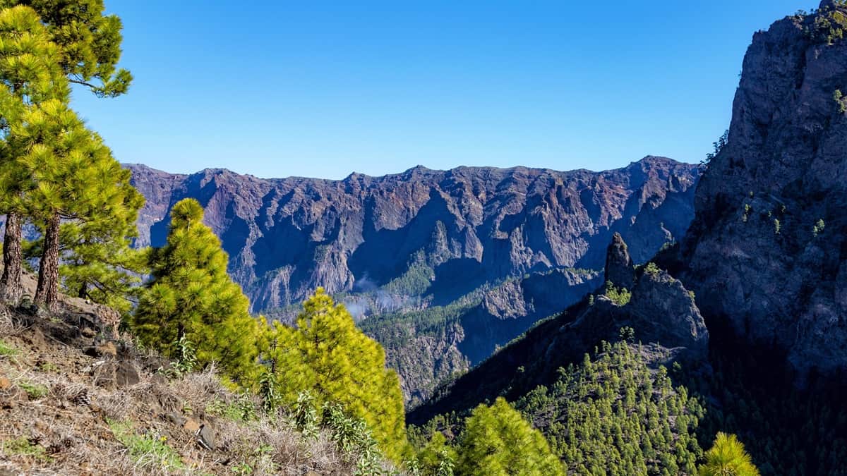 Caldera de Taburienten kansallispuisto La Palma Kanariansaaret Kanarianmäntyjä ja vuoristomaisemaa Caldera de Taburiente -kansallispuistossa.