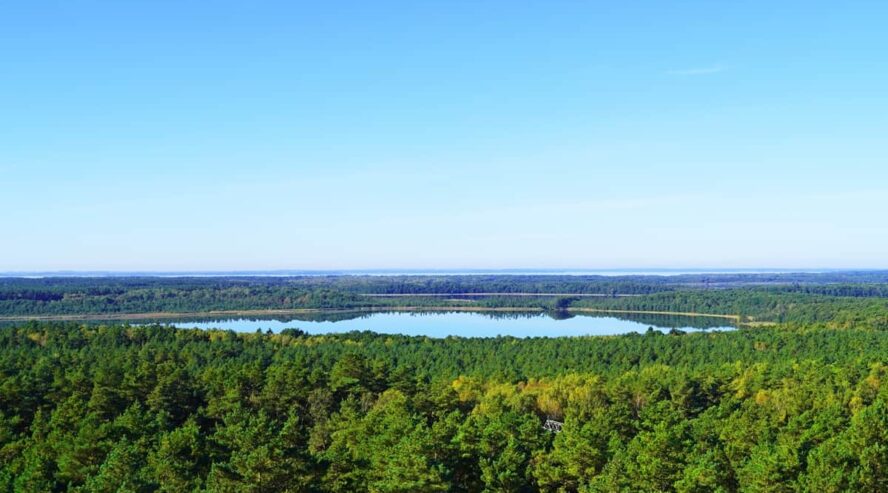 Muritzin kansallispuisto Saksa