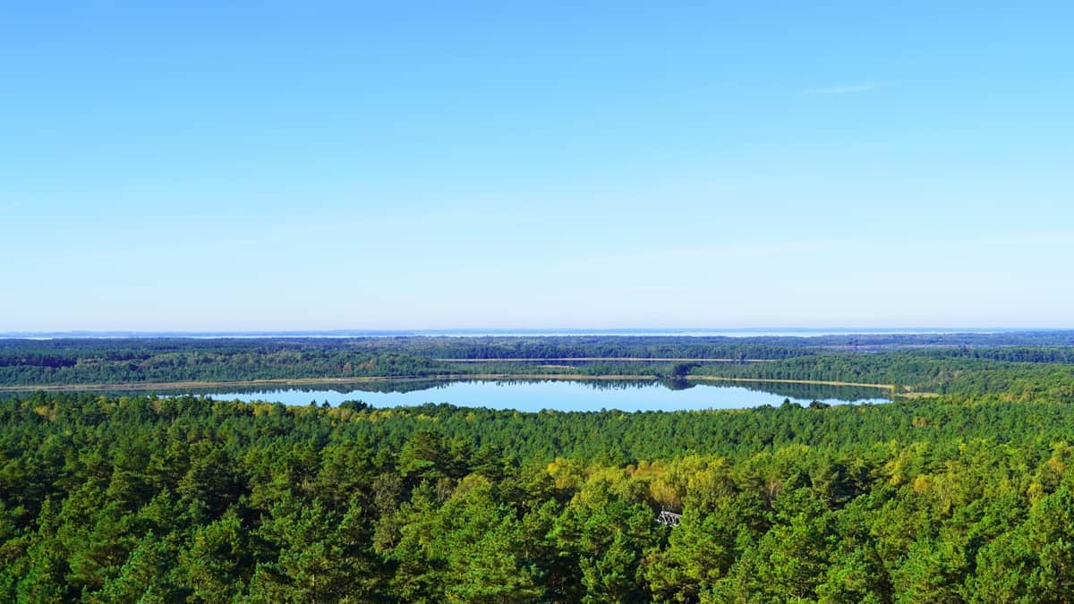 Muritzin kansallispuisto Saksa