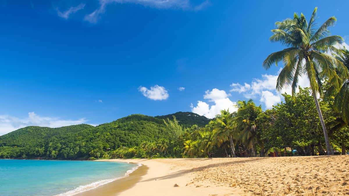 Deshaies ranta Guadeloupe
