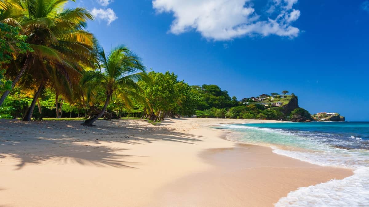 Grand Anse Ranta Grenada Karibia
