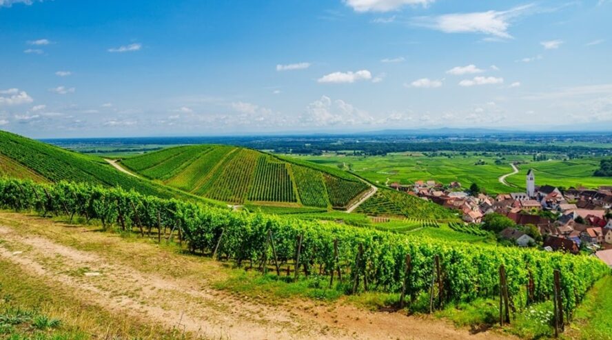 maisema viinitilalle ja kylään alsace ranska
