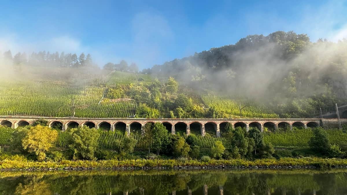 Mosel joen ruokamatka Mosel-joen varsi joelta kuvattuna.