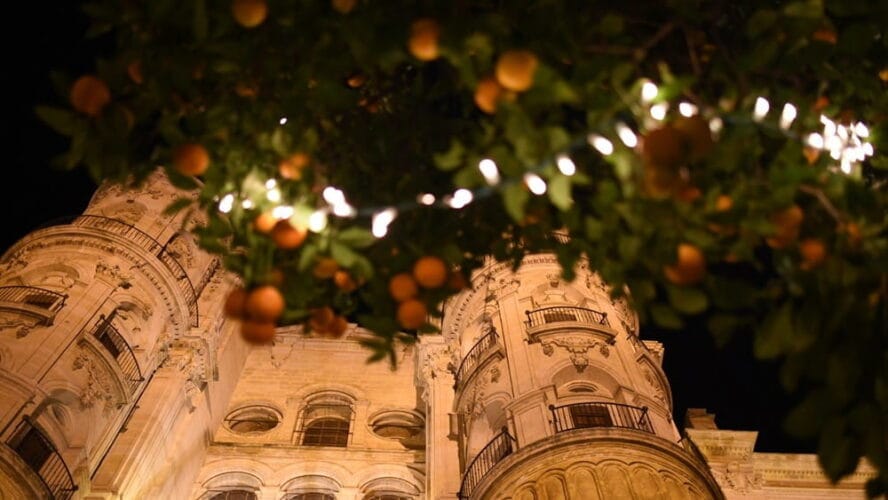 valoin koristeltu appelsiinipuu Malaga Espanja valoin koristeltu appelsiinipuu Malaga Espanja