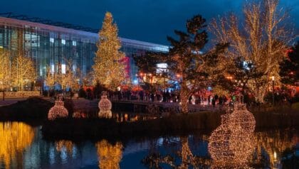 ROPAX – Pikkujouluristeily Saksaan 24.11.2026